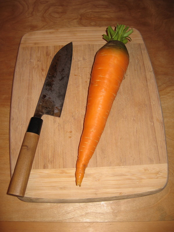 giant carrot