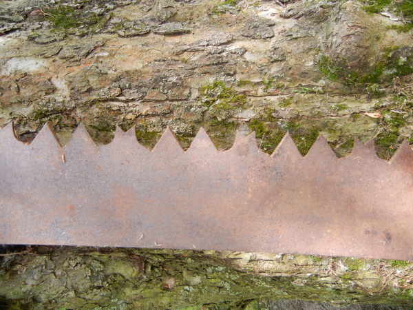 old crosscut saw